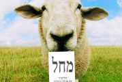 השבוע שהיה – 19.5.2015