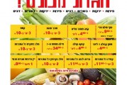 המהדורה המודפסת – גליון 493