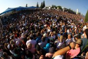 השבוע שהיה – 04.07.2014