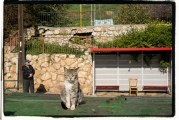 תמונת השבוע:  רחוב אילת מחכים לאוטובוס מרץ 2014 / ארז בן סימון