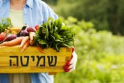 לקראת שנת שמיטה