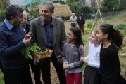 השר להגנת הסביבה לזלץ: עוברים להדברה ביולוגית