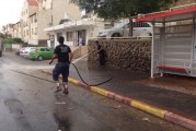 נערכים לקיץ מלכודות:  זבובים ברחבי העיר