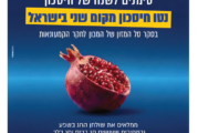 עיתון חדשות הגליל – המהדורה המודפסת | גליון 969