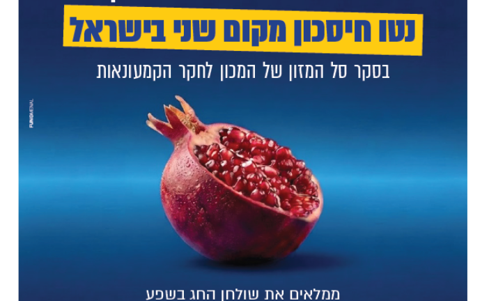עיתון חדשות הגליל – המהדורה המודפסת | גליון 969