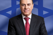 שר הפנים סילבן שלום אישר הנחות משמעותיות  בארנונה למתקנים פוטו-וולטאים