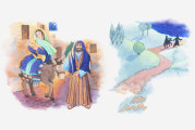 8 דברים שלא ידעתם על 10 המכות