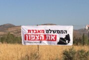 נלחמים על העתיד שלנו כאן