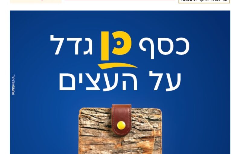 עיתון חדשות הגליל – המהדורה המודפסת | גליון 939