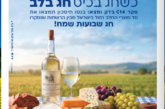 עיתון חדשות הגליל – המהדורה המודפסת | גליון 955  – שבועות